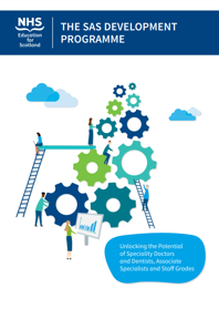 SAS Development Programme