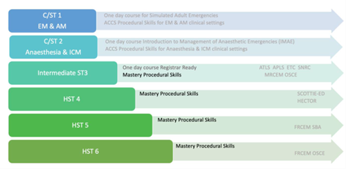 Emergency Medicine Simulation Strategy Overview