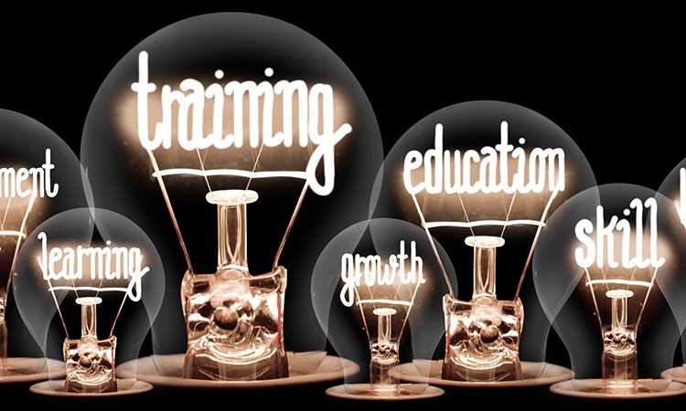 Trainer Development Collaborative